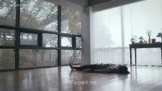 [BE PROFESSIONAL #3] 삶의 균형 - 요가마스터 최지현 편