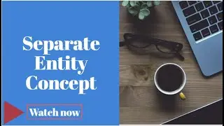 Separate Entity Concept