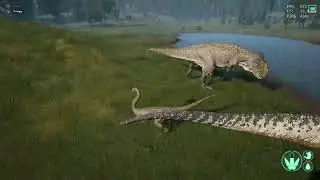 Galli vs Utah, Rex and Giga