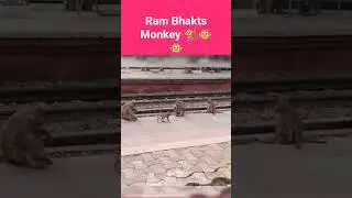 Ram Bhakts ######