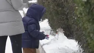 Heavy snow closes schools and roads in northern and central China