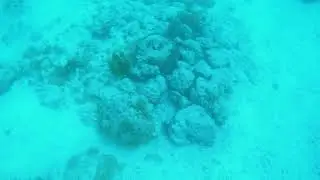 Aruba 2025