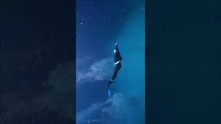 Freediving with a friend is simply the best