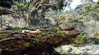 Best Fight Scenes Ever made...