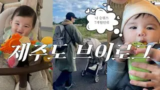 [제주도 VLOG] 여행, 그런데 이제 일정은 아기 마음대로… 👶😴🌟 | 7개월 아기랑 제주도 🍊 2주살기 2편 l [서쪽코스·천지연폭포·오설록·매일올레시장·라룬블루·텍시아]