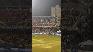 Funny Dog Scene in LPL 2024 Final! 😂♥️ #viral #trending #ipl #lpl #final #dog #funny #foryou #fyp