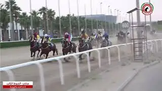 الاجتماع ( 24 ) الشوط ( 2 ) الجواد الحبير / اسطبل الرويس