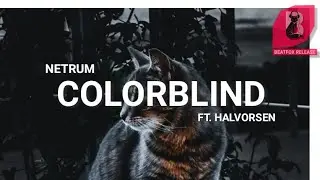 Netrum - Colorblind. (Ft. Halvorsen)