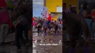 Cabalga en Bugaba chiriqui #bugaba #chiriqui #panama #cabalgata #caballos #vlog #viralvideo #viral