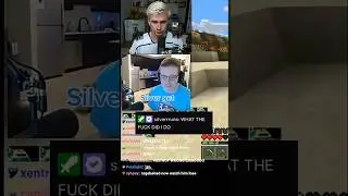 no but silver did not deserve that LOL #hbg #mcsr #ludwig #feinberg #twitch #minecraftspeedrun