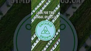 How to Support Local Ontario Growers Easily!