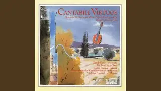 Concerto for Oboe, Bassoon, Trumpet & Strings in D Major: I. Largo maestoso