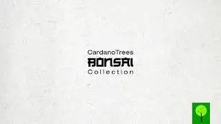 CardanoTrees - CT Bonsai Collection / Soon