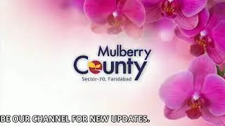 MGH : Mulberry County -70