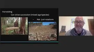 Интеграция лесопроизводства с методами охраны земель для сохранения природы и получения прибыли.