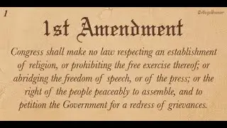 #1stamendment #disneyplus  and how should #american citizens respond to #constitution challenges? 