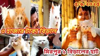 মিরপুর-১ বিড়ালের হাট শুক্রবার || mirpur 1 pakhir hot ll mirpur can market 2025