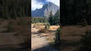 Epic fall hike #alberta #hiking #mountains #fall