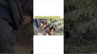 jungle se blue bird pakad lia 😱  #jungle #shorts #viral #video