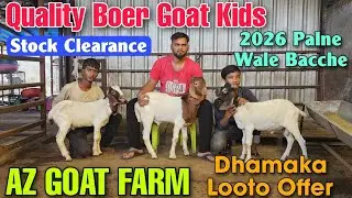 Best Quality African Boer Goat Kids At AZ GOAT FARM | 2026 Palne Wale Shandaar Bakre In Bhiwandi 