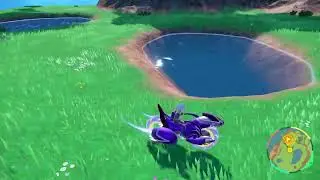Bibichut SHINY apr&egrave;s plus de 5h de Shasse !!!