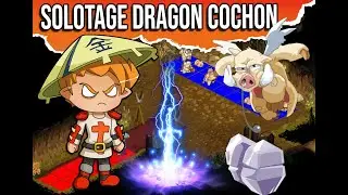 Split Dragon Cochon Team Iop | 8 Captures en 15 Minutes (Donjon Complet)🎯​