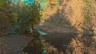 Fishing Small Creeks in Northern Minnesota for Trout!!!