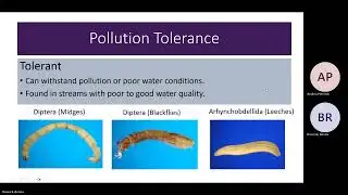 ND Envirothon Wednesday Training Session 2024 - Week 6 Water Quality - Ask the Bugs