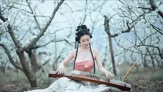 Classical Chinese Music 🎵 Relaxing Guzheng & Dizi  Ancient China Calm Music  Meditation & Sleep
