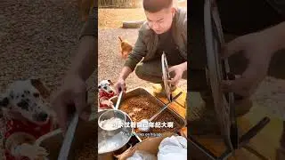 Feeding dogs in the mountains 