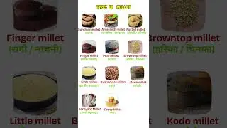 Types Of MILLETS in English and Hindi #millet  #momentmagic