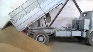 Vysypovanie obilia Liaz Trambus