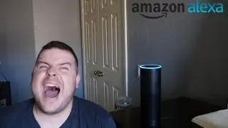 Amazon Voice Shopping With Alexa