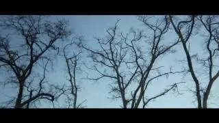 Crescent (HD)