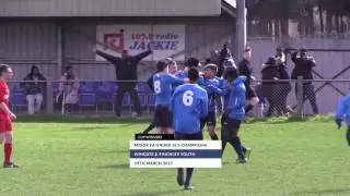 Middlesex FA - Youth Goals 2016/17