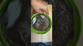 Mini Oreo Cake With Only 3 Ingredients || #shorts #ytshorts #chatori zubaan #spread taste😋||