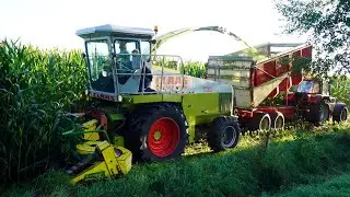 Mais 2025 | Claas Jaguar 690 | Case International | Fendt 510C | Kneus & Co Wekerom | Maishakselen