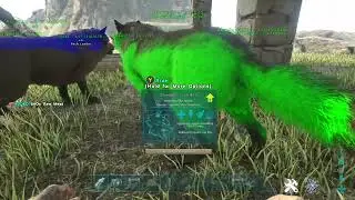 Ark Survival Evolved/we found adolescent wolves from the pack wasn't claimed
