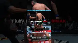 Anthony Hernandez VS Roman Dolidze 🔥 FIGHT RECAP #ufc