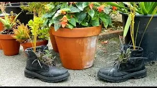 Original Planter - how to use your old boots