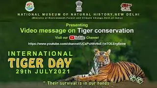 Video messages on Tiger Conservation
