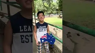 Почему сумчатые живут только в Австралии ? #mrteacher #facts #kangaroo