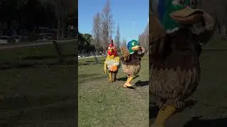 &iexcl;A BAILAR CON LOS PERSONAS DE LA GRANJA DE ZEN&Oacute;N! #shortsyoutube