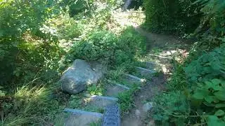 Trail Riding - Marbach 18.08.2019 - Bruggtobel