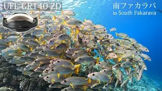 【南ファカラバ】INON UFL-GR140 ZD