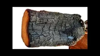 Can Wood Like This Be A Bowl Unique - Woodturning