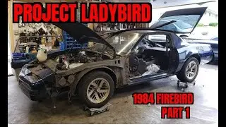Project Ladybird 1- The BackGround (Intro 1/2)