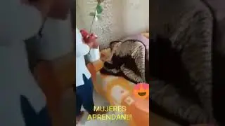 Un berracho seleq