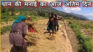 खेतों में मेहनत, जिंदगी की असली कमाई ।। Pahadi Lifestyle ।। Pahadi Culture ।। @anuppahadivlog 