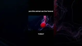 This Creature Discovered the 